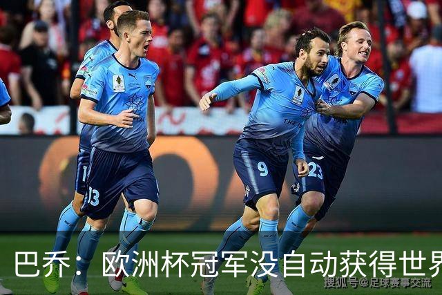 巴乔：欧洲杯冠军没自动获得世界杯资格 这是耻辱